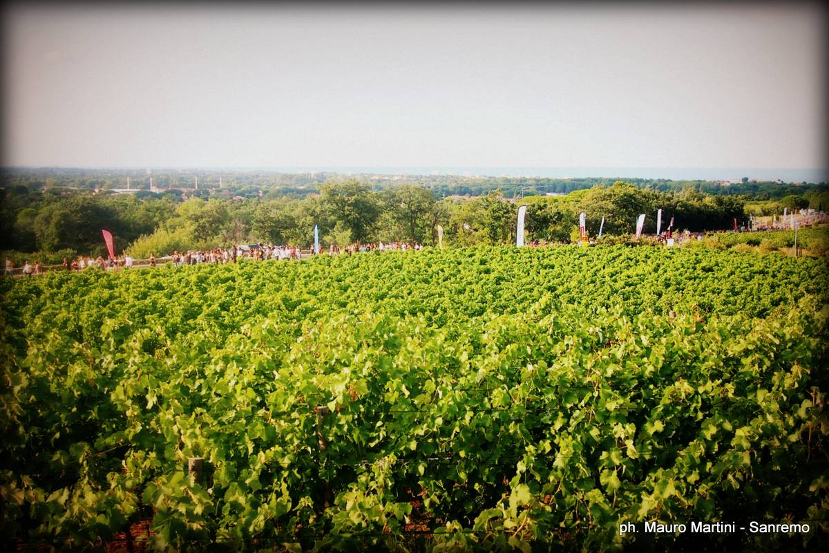 Les Deferlantes - Argeles (FR) - Luglio 2017