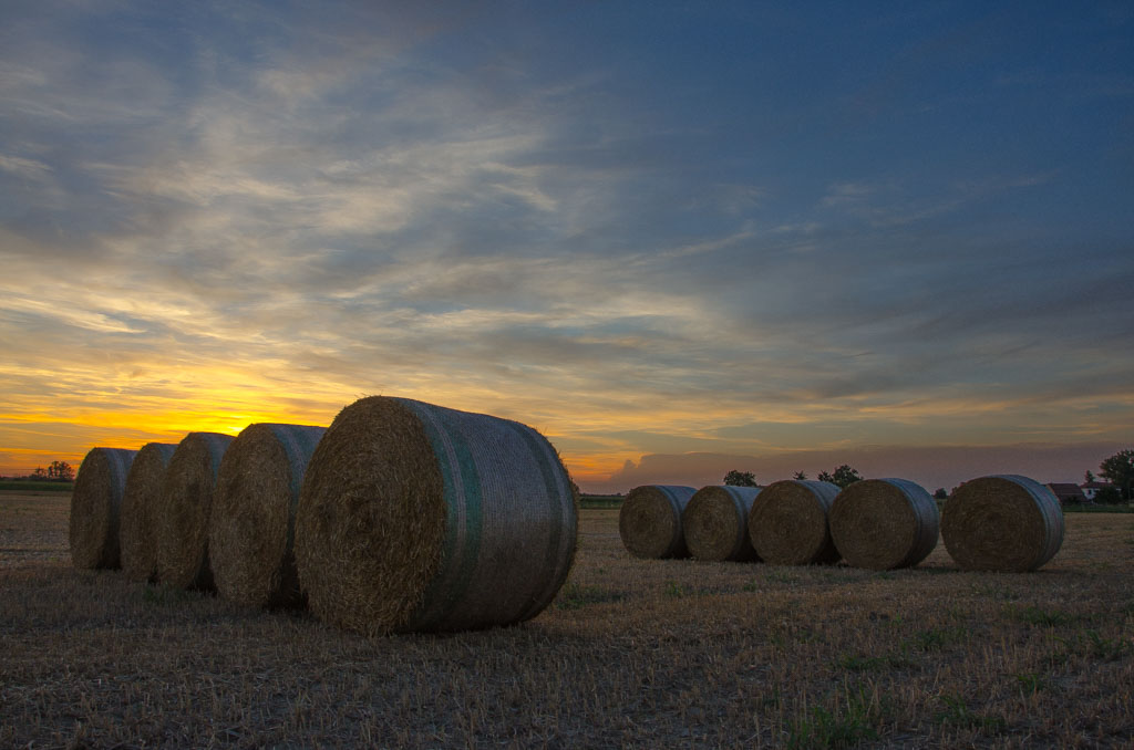 Tramonto in campagna