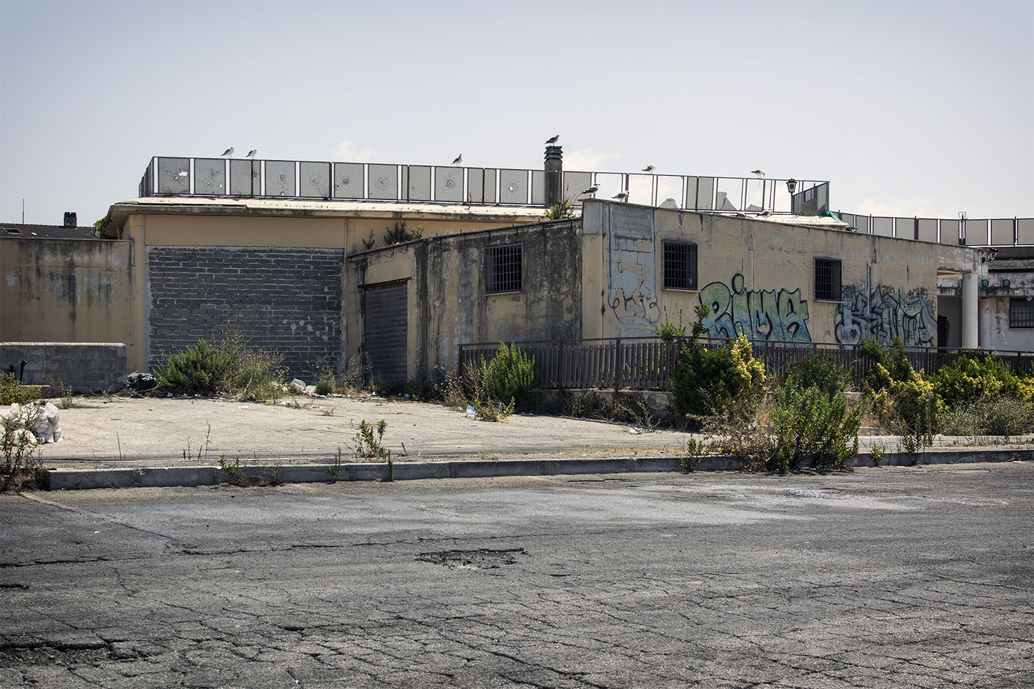 Ardea_Degrado - I guardiani del Degrado