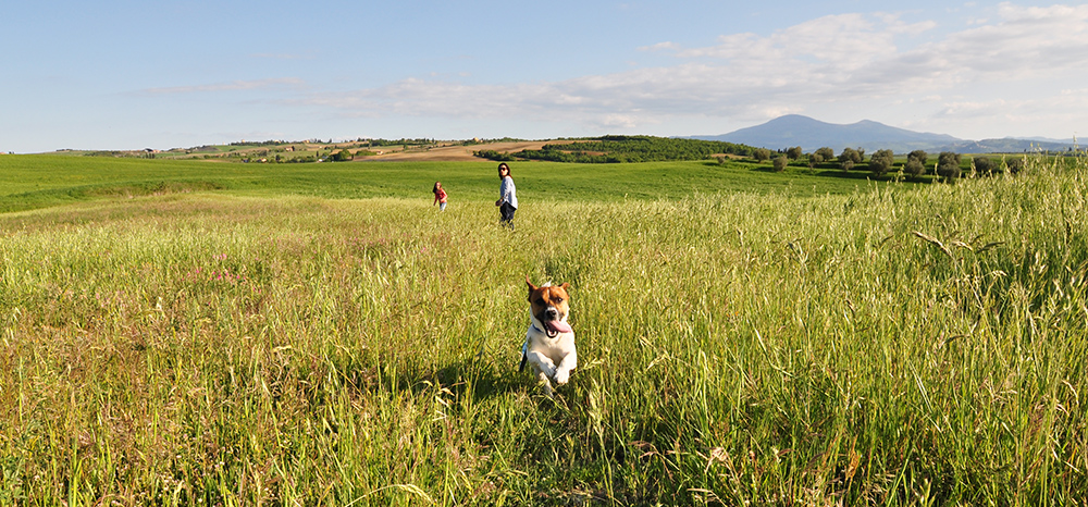 A spasso in Val d'Orcia