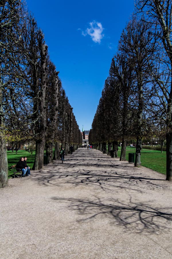 ispirazione surrealista