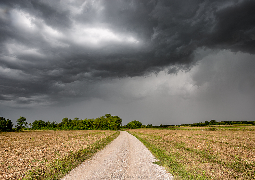 Apocalisse nella campagna