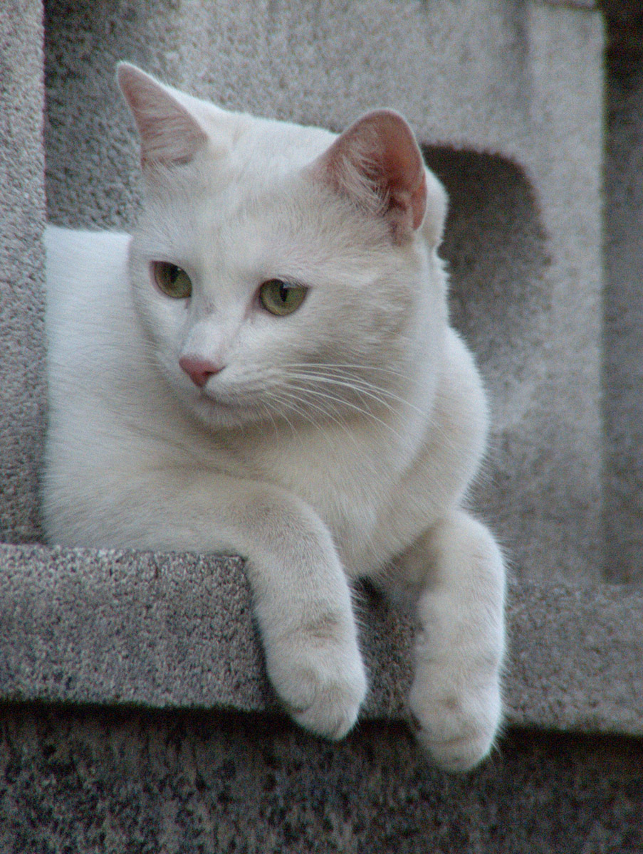 Guarda che ti controllo....stai attento