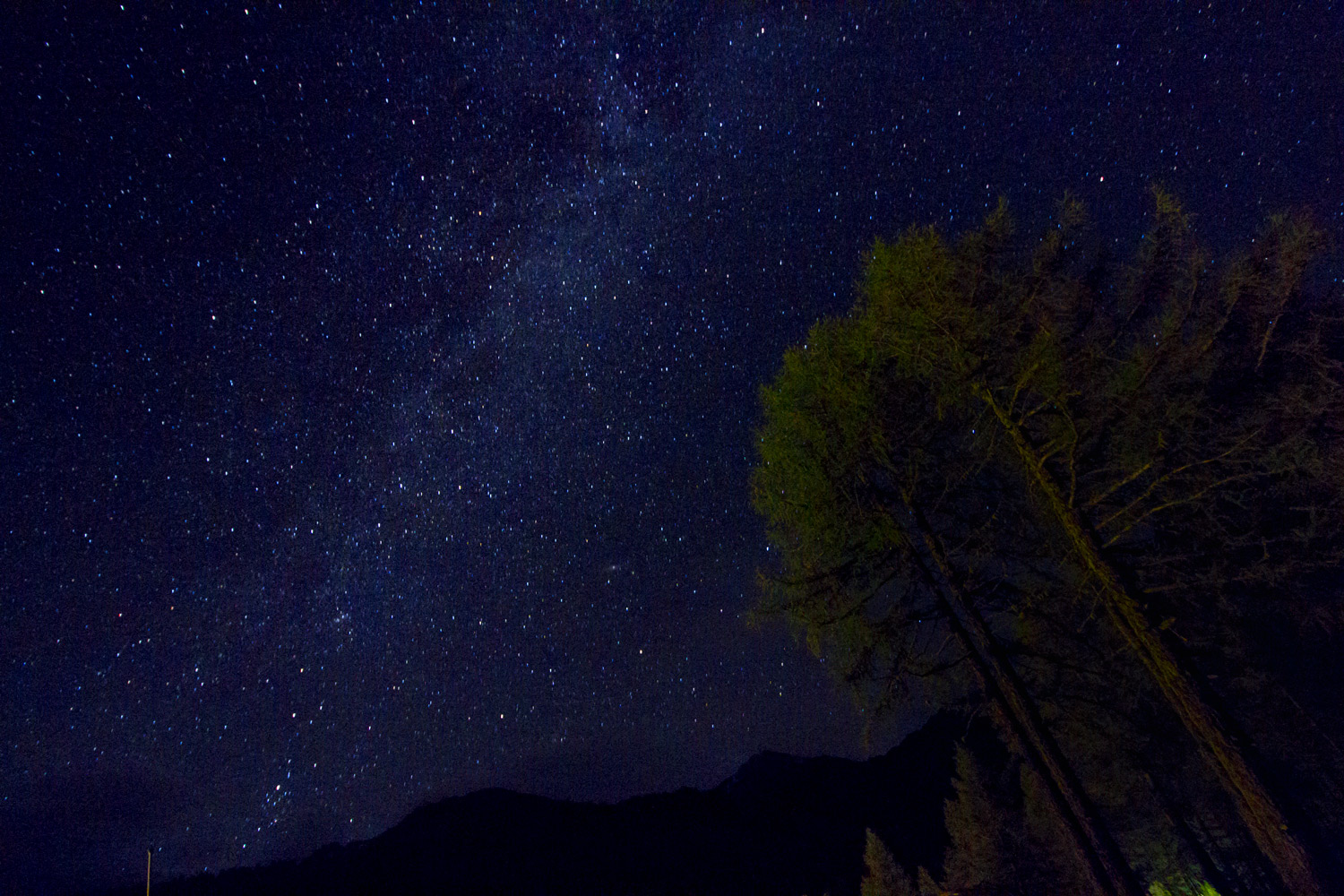 Notte Stellata (prima prova)