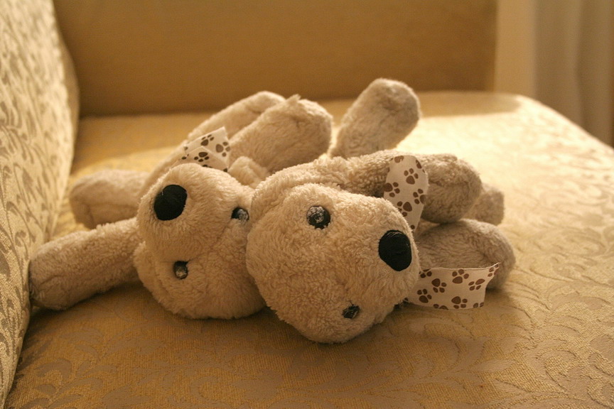 compagni di gioco a riposo