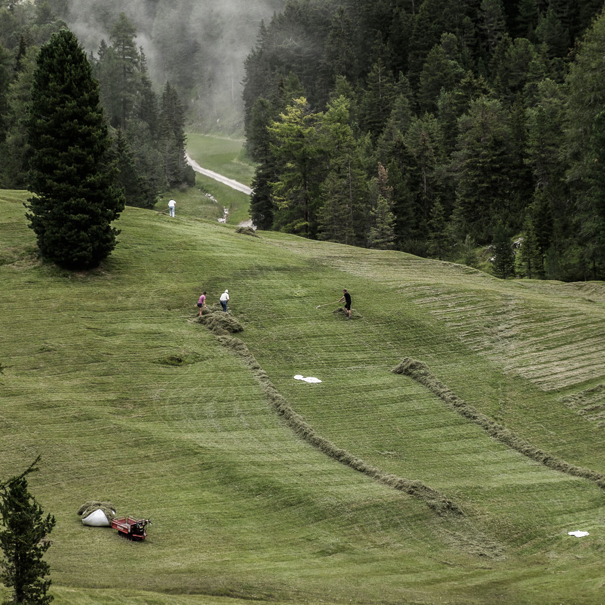 il lavoro sugli alpeggi