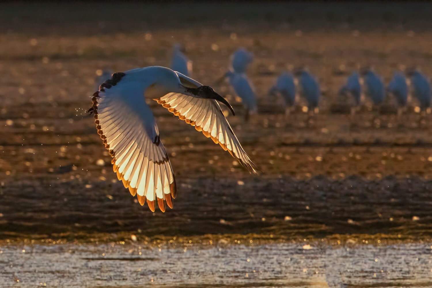 tanto per provare qualcosa di diverso