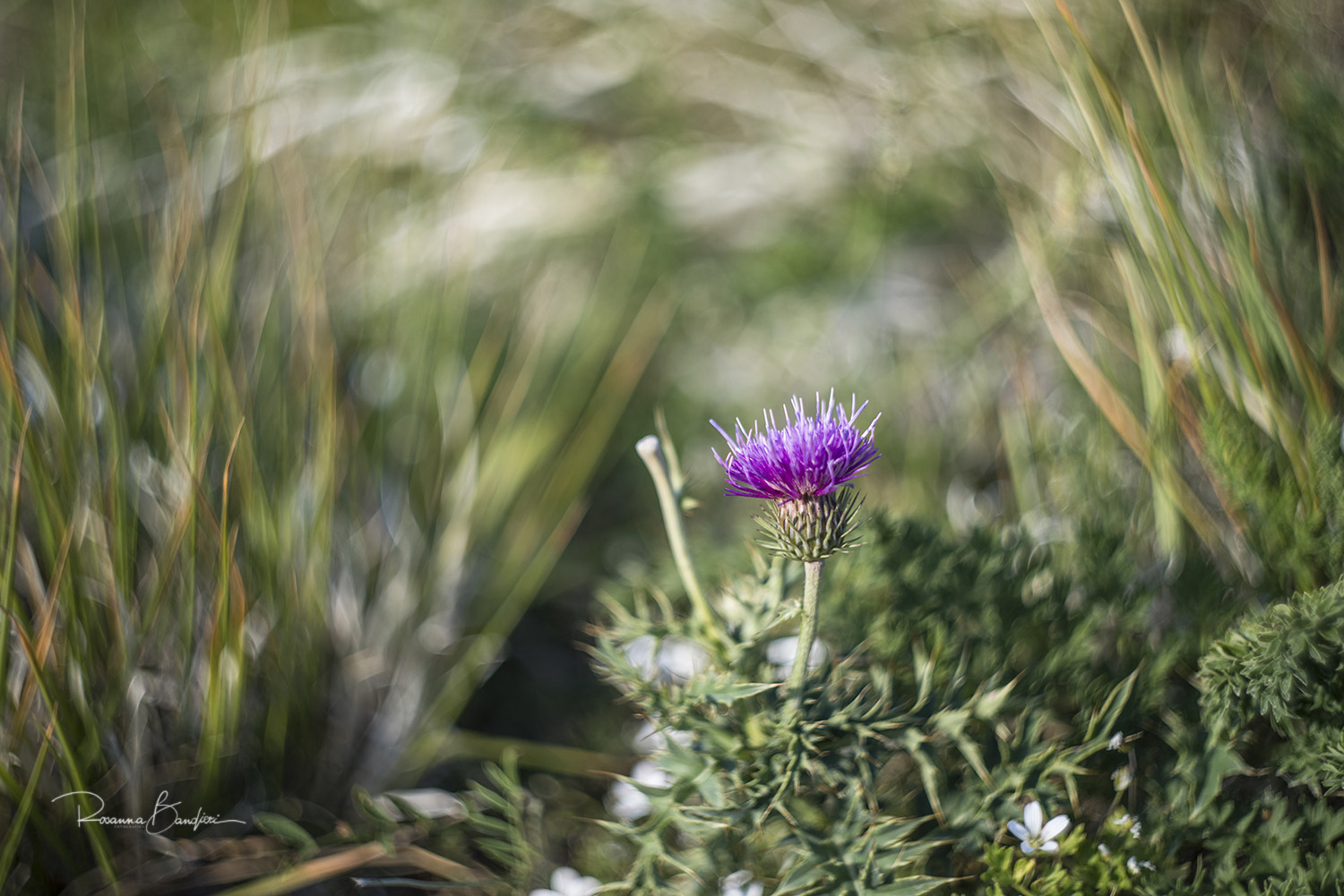 fa caRdo, davvero molto caRdo :)
