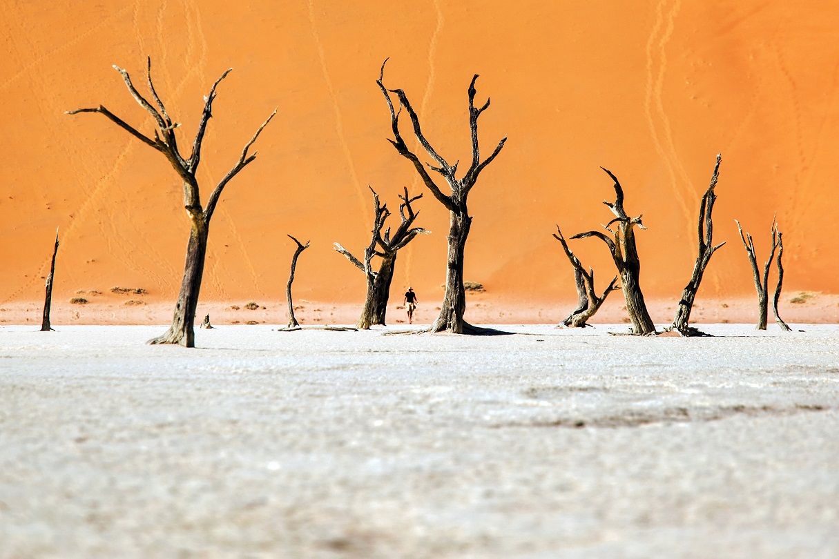 Attraverso la Valle Morta - Deadvlei - Namib Desert