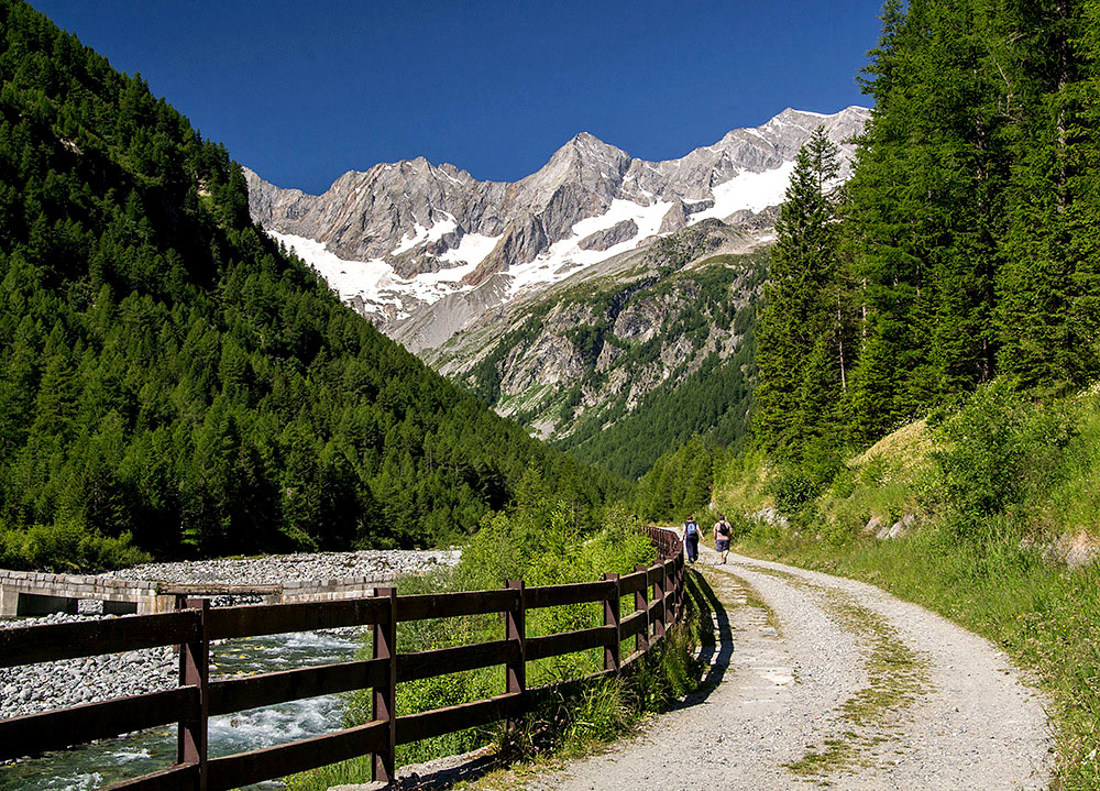 cartolina dalla Valmalenco