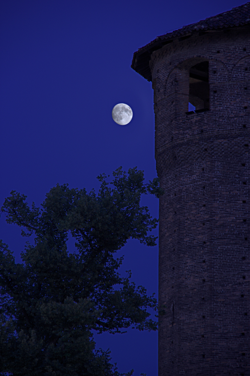 La torre nella foresta