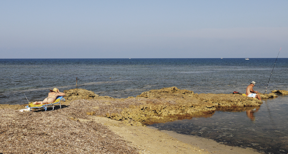 Chi dorme non piglia  pesci...😀