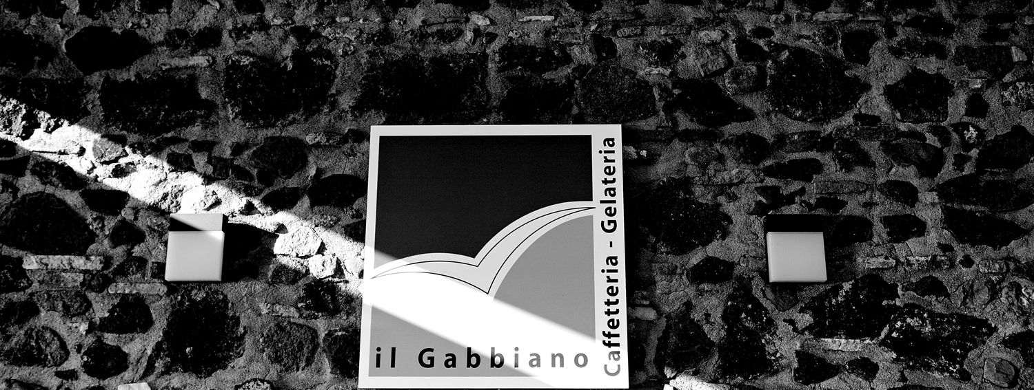 Il gabbiano