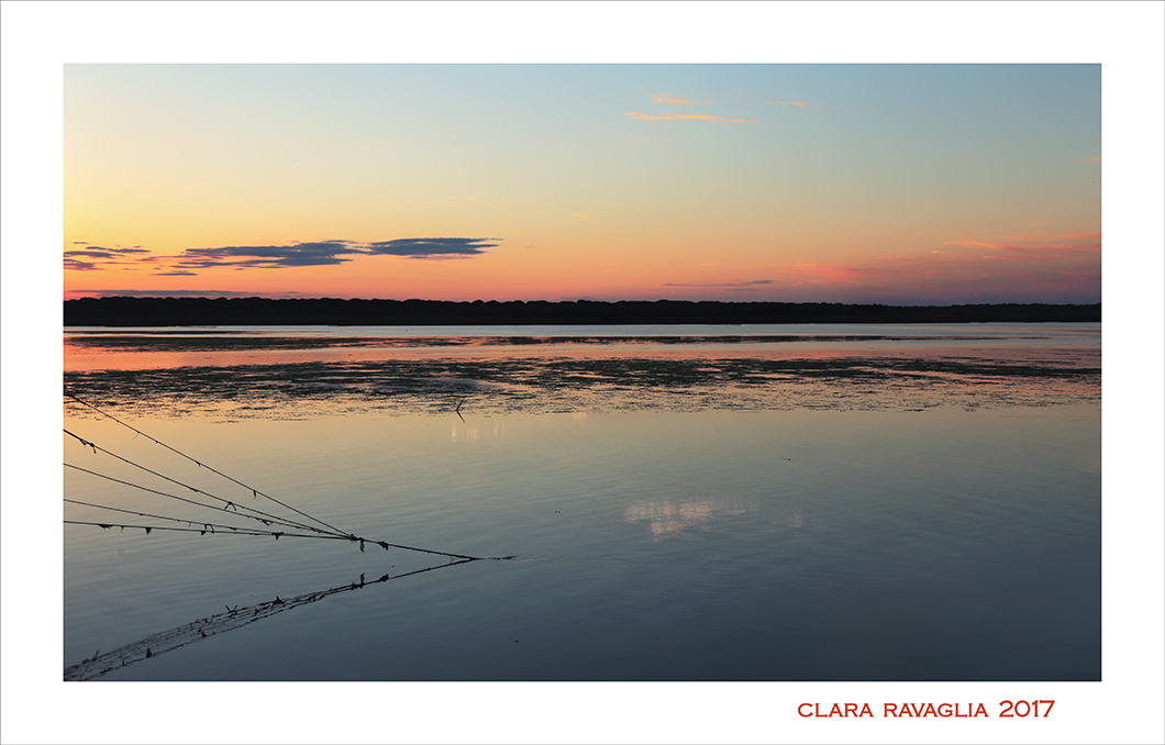 Buonanotte....giorno