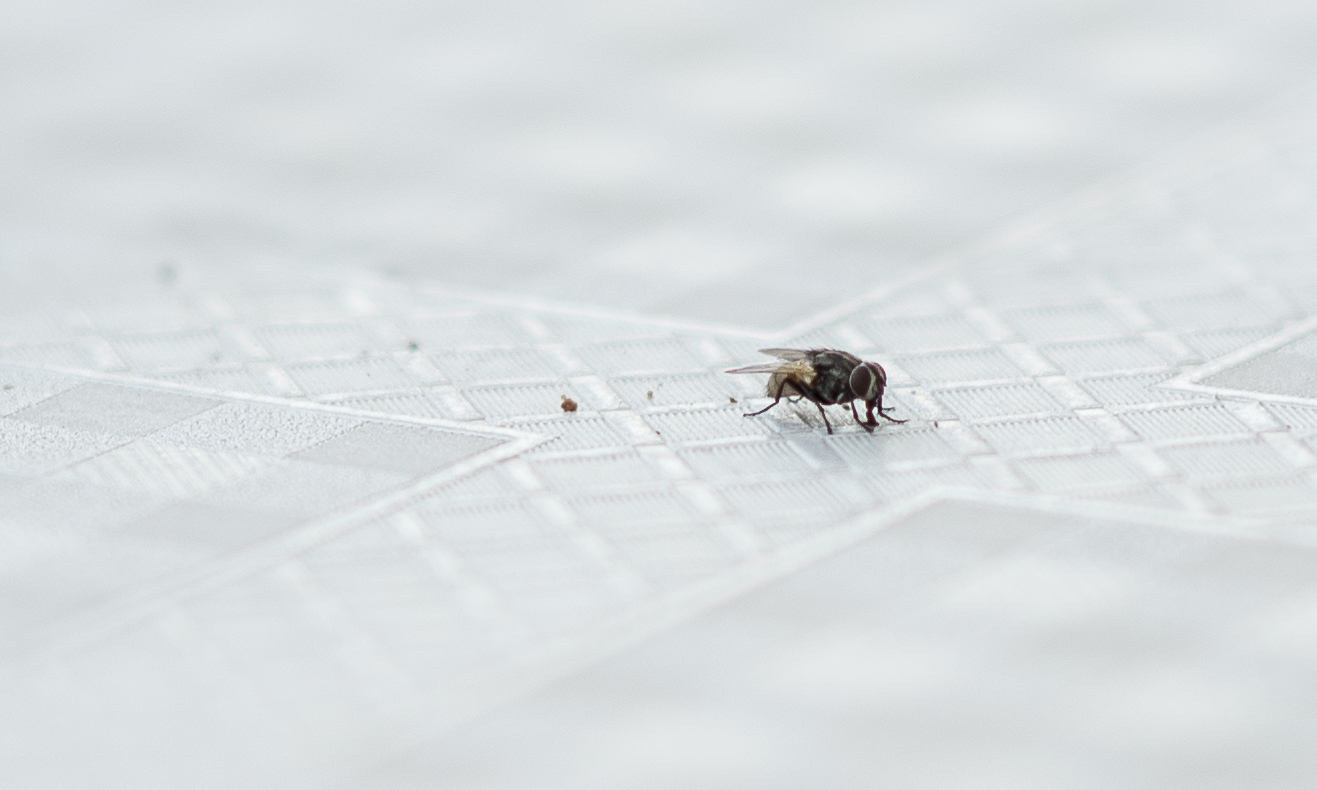 Girovagando qua e l�.....