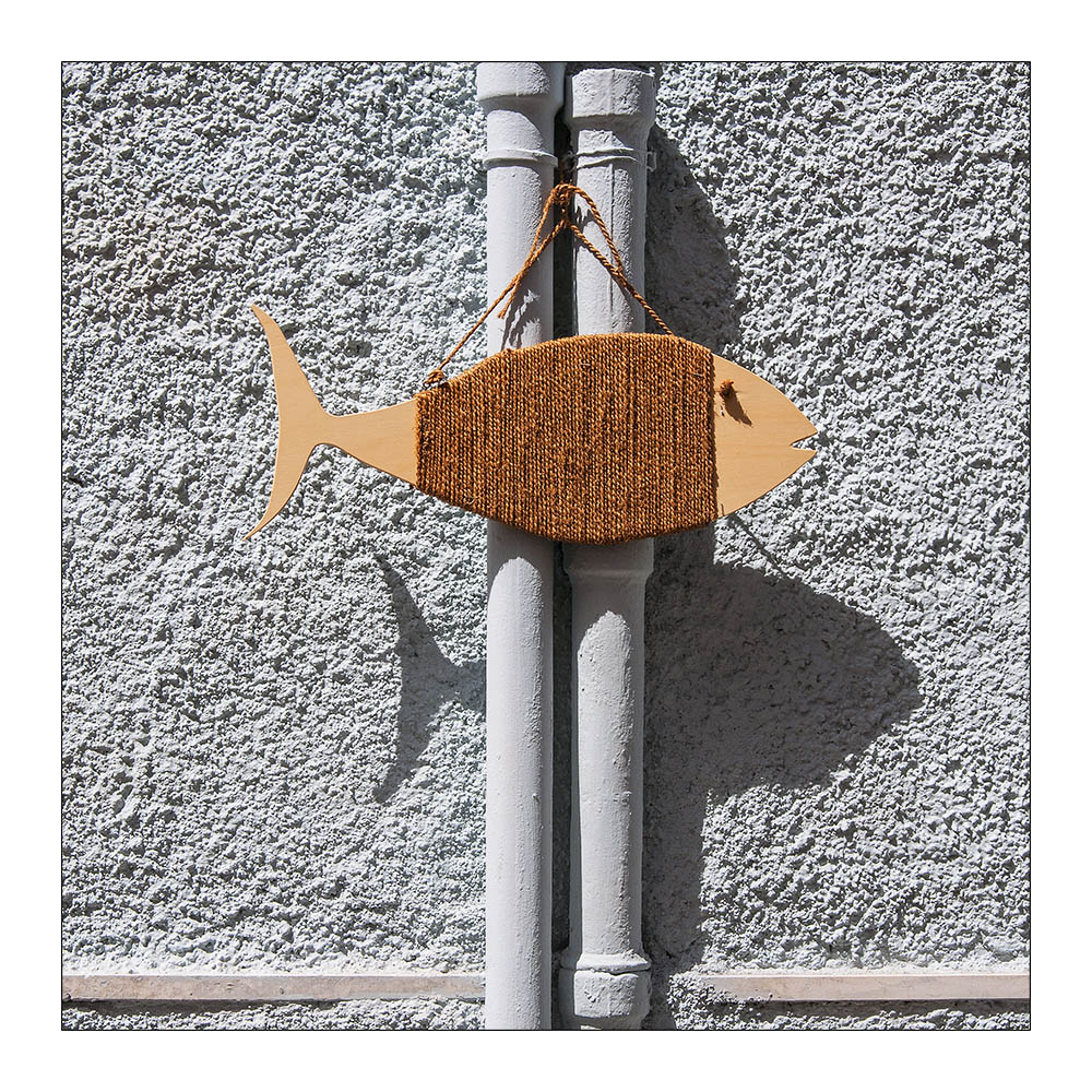 un pesce fuor d'acqua