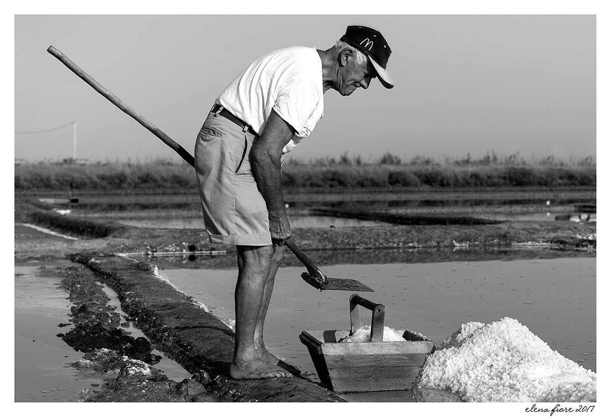 Saline Camillone n.1/2017