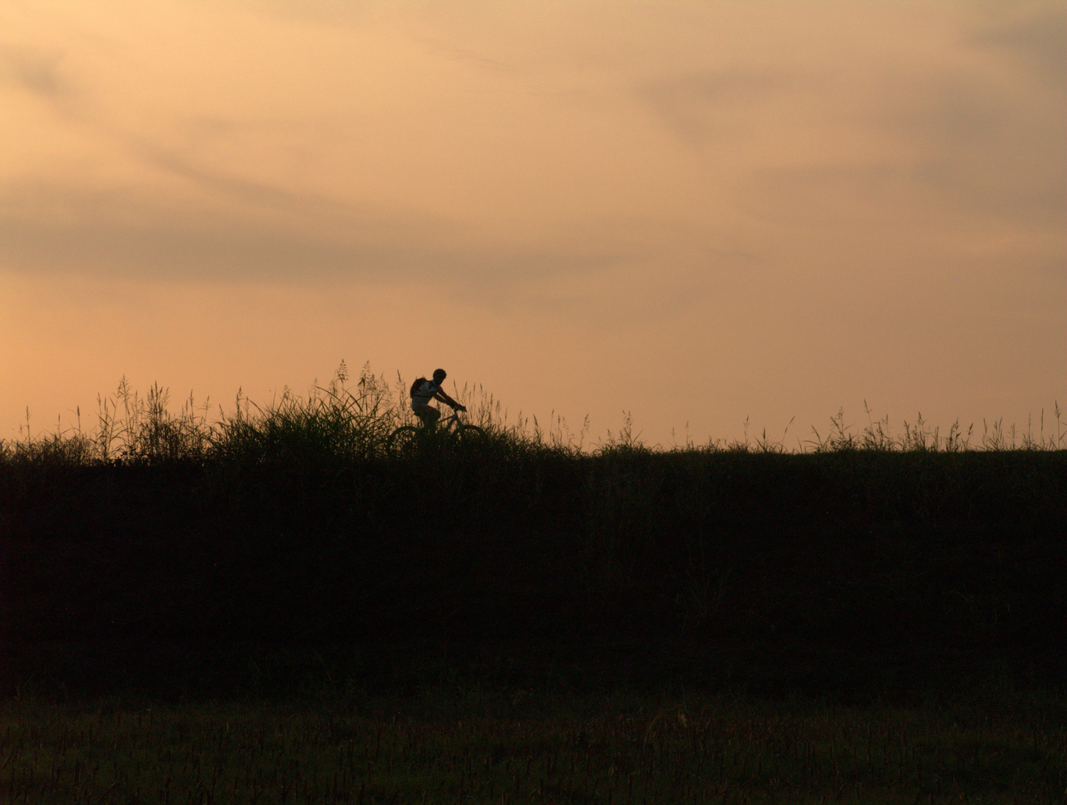 Di ritorno... verso casa