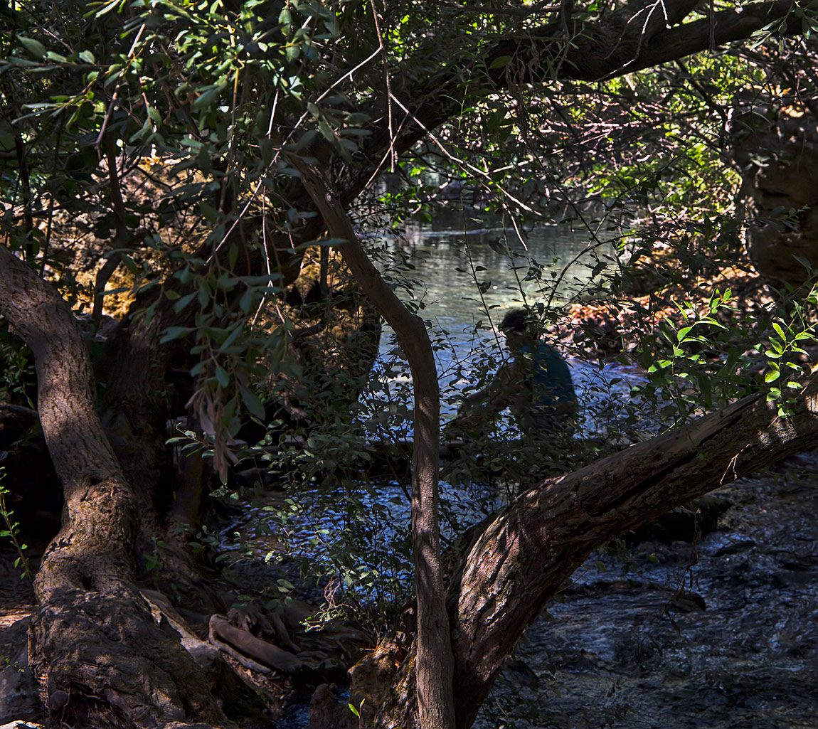 Tityre, tu patulae....