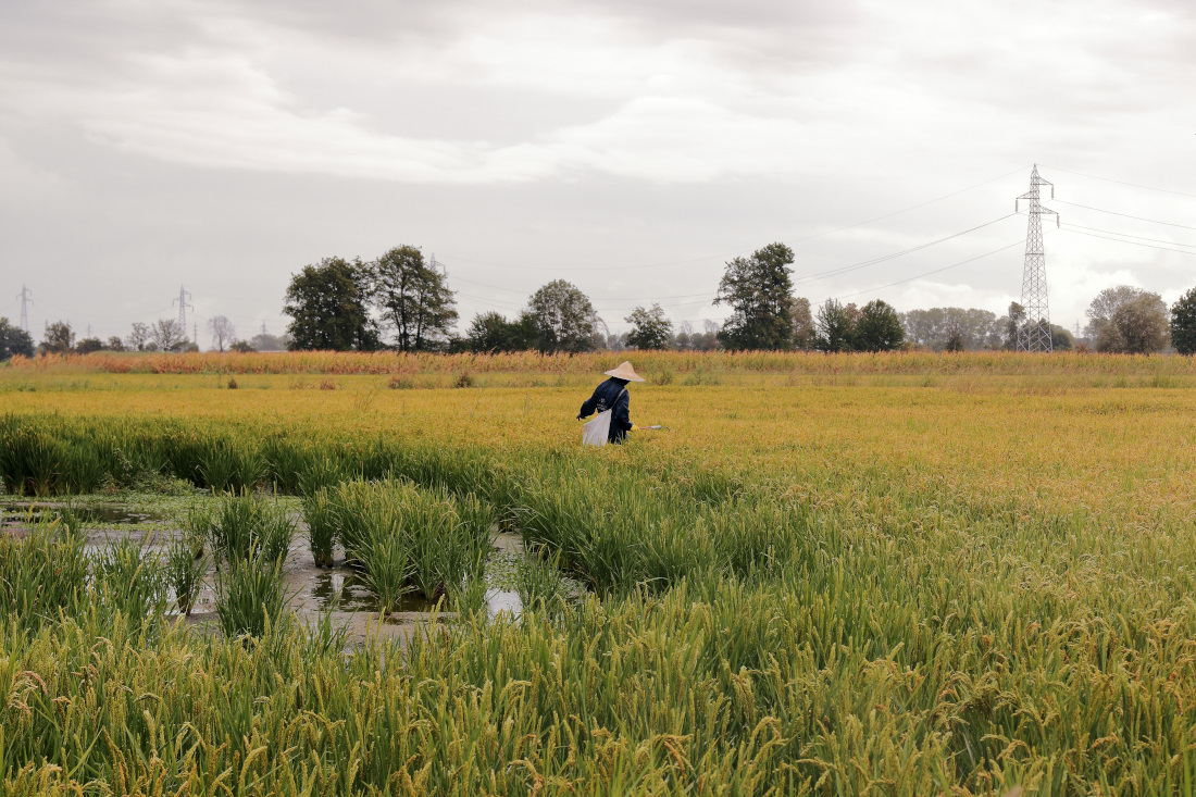 Parco Agricolo Sud Milano