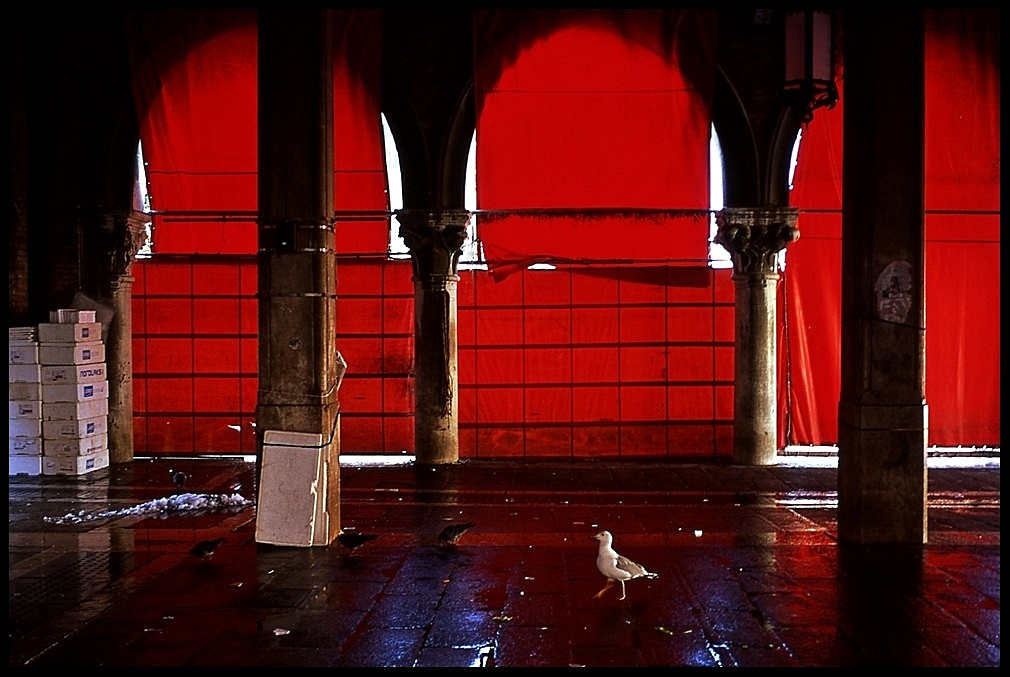 Venezia mercato ittico