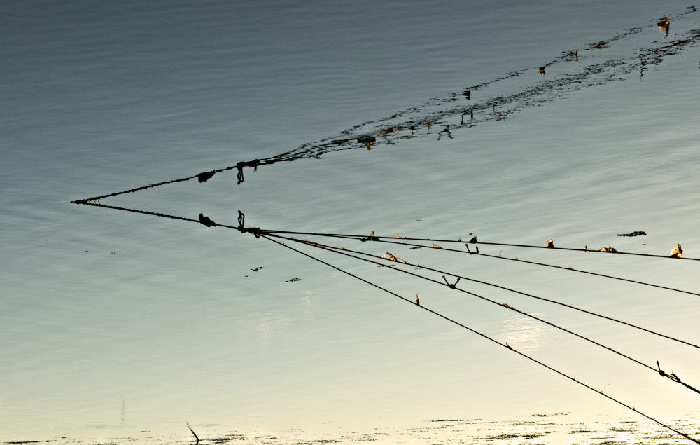 nella riserva di pesca di clara ravaglia