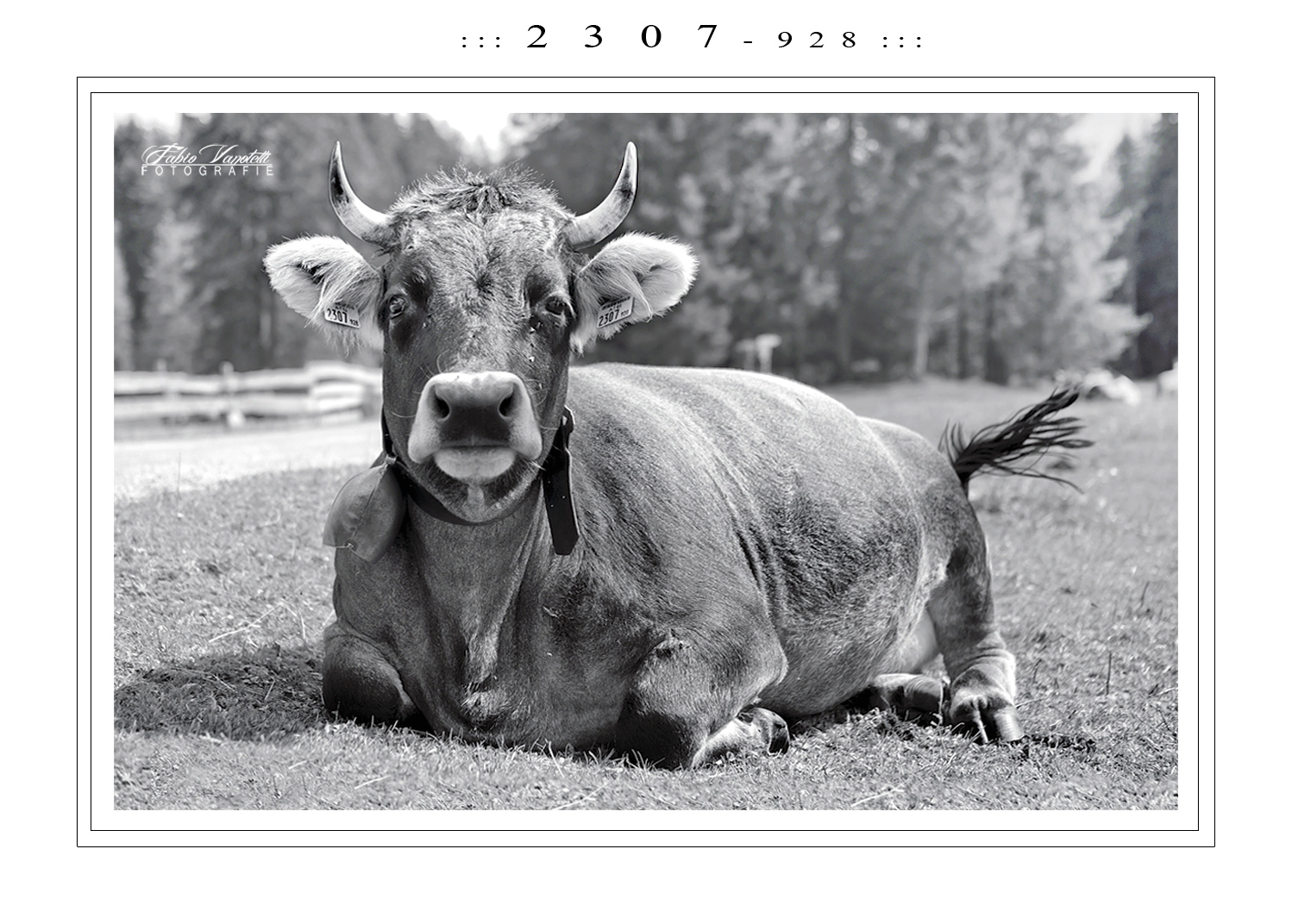 ::: 2 3 0 7 - 9 2 8 :::