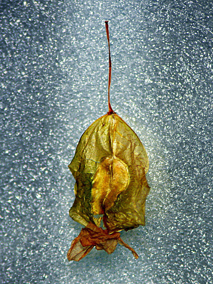 ***Oggetto volante non identificato avvistato sulla via lattea***