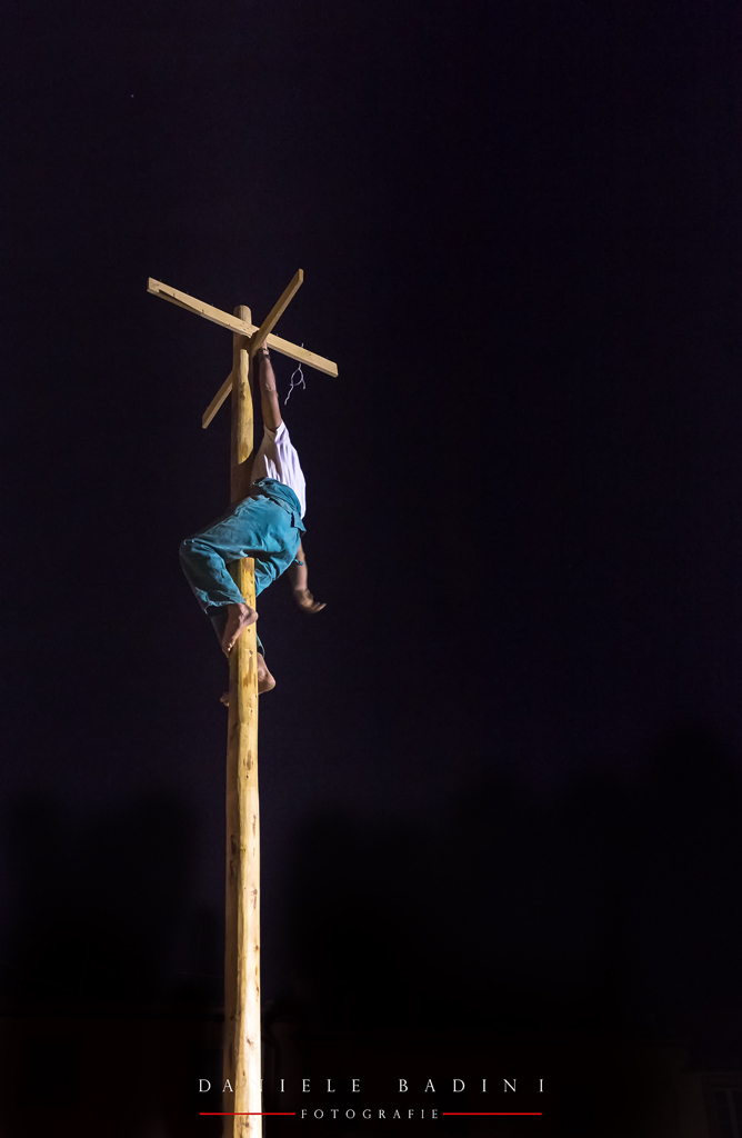 l'albero della cuccagna