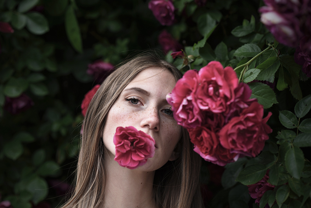 roses portrait