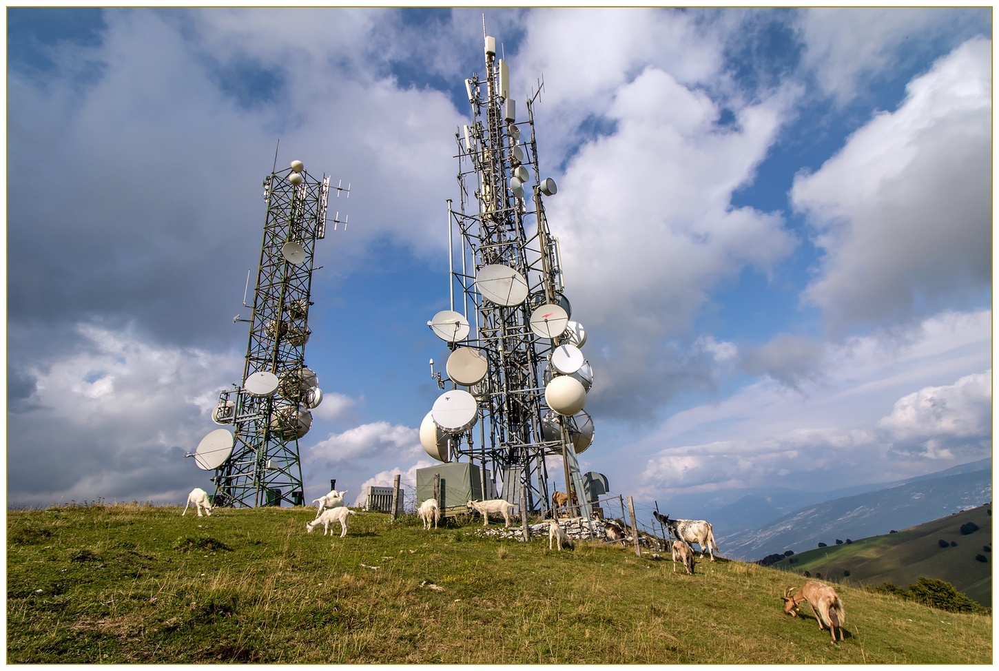 Alla ricerca di "campo" ... anzi di prato.