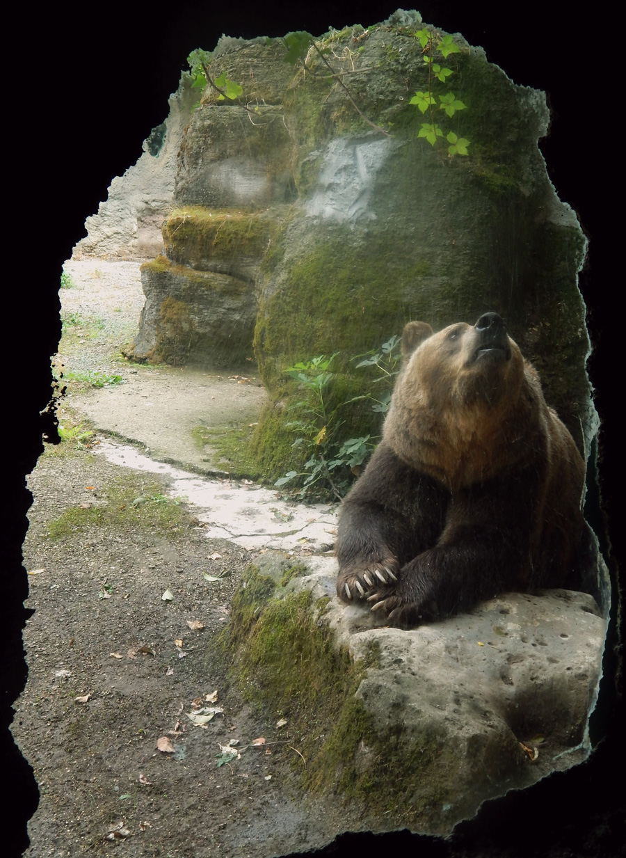 La salvezza viene dall'alto 1