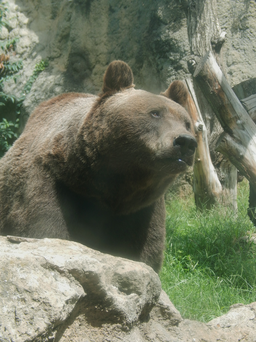 La salvezza viene dall'alto2