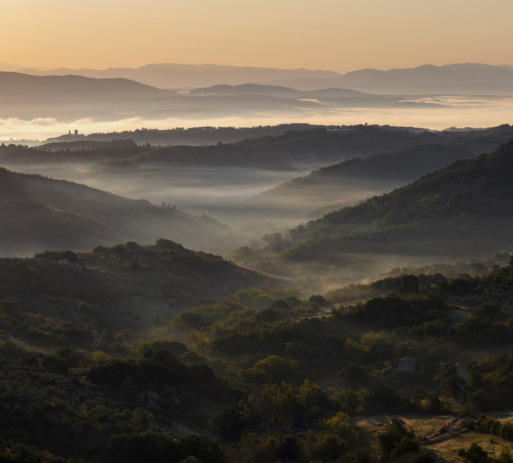 la libert� di un sogno