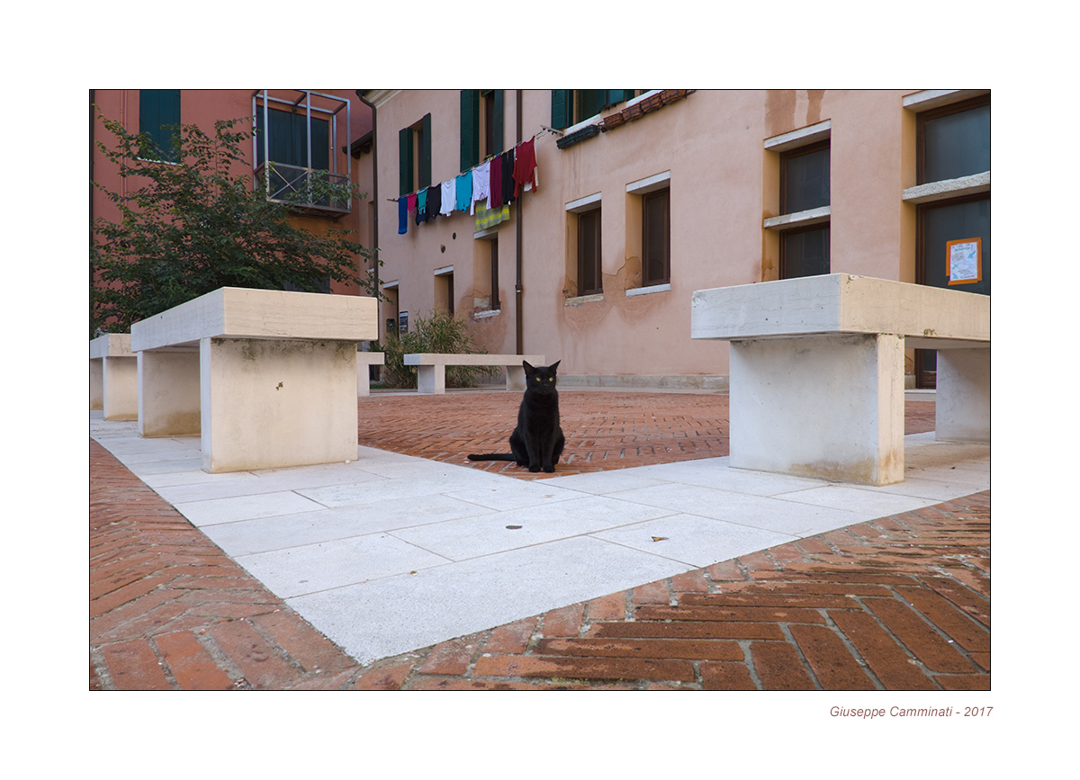 Cortile veneziano