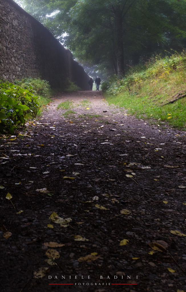 camminando al mattino
