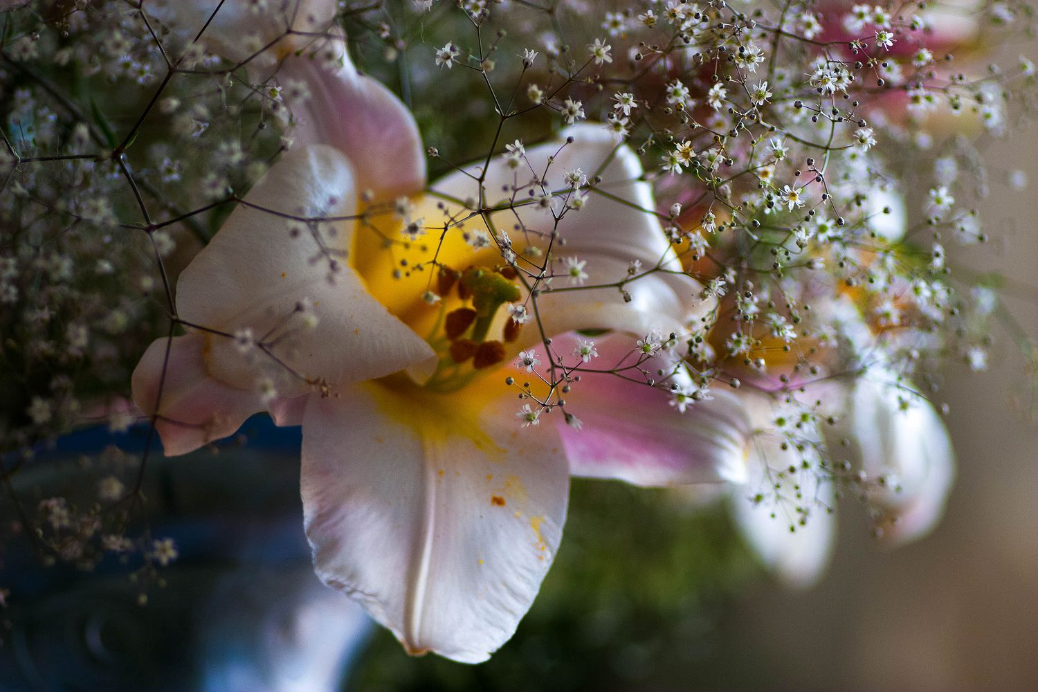 i fiori nel vaso Liberty