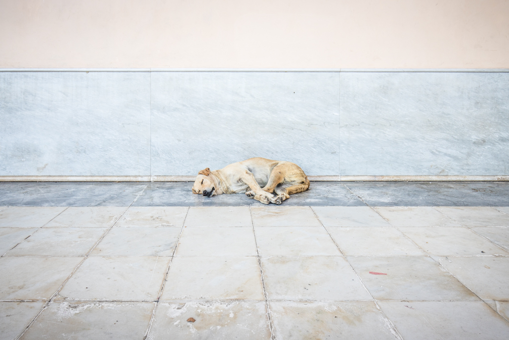 Composizione centrale a toni chiari