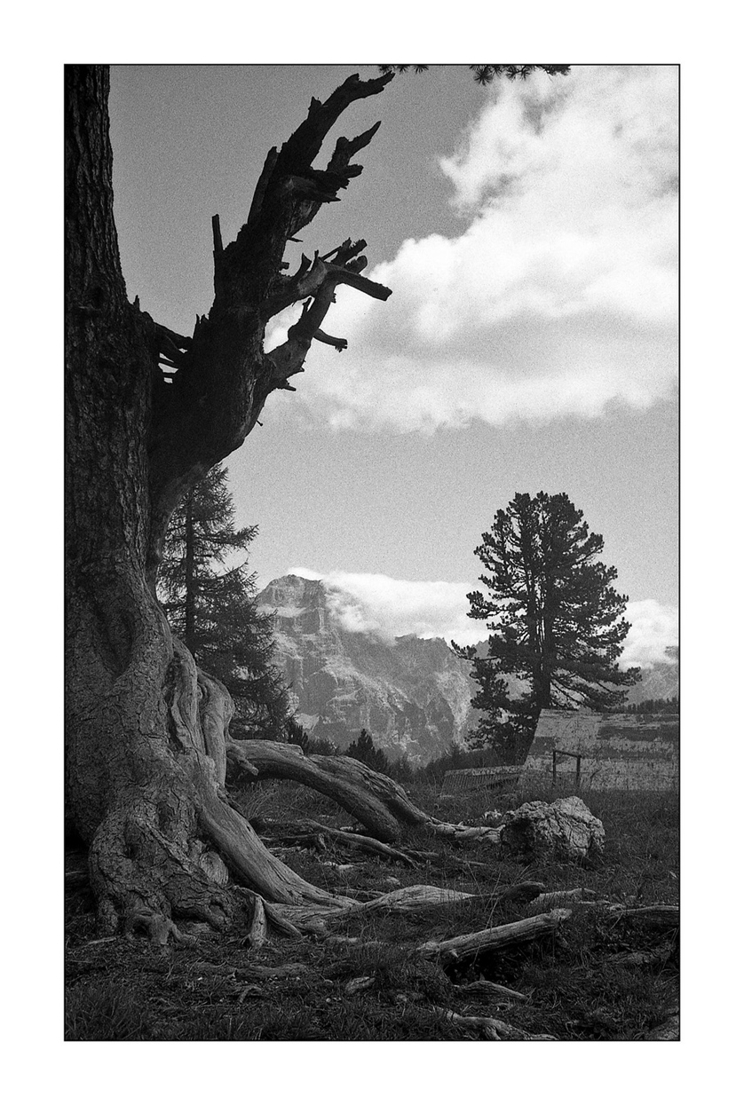 A.A. de 'noantri ;/)