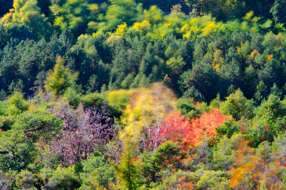 Impressioni di Ottobre