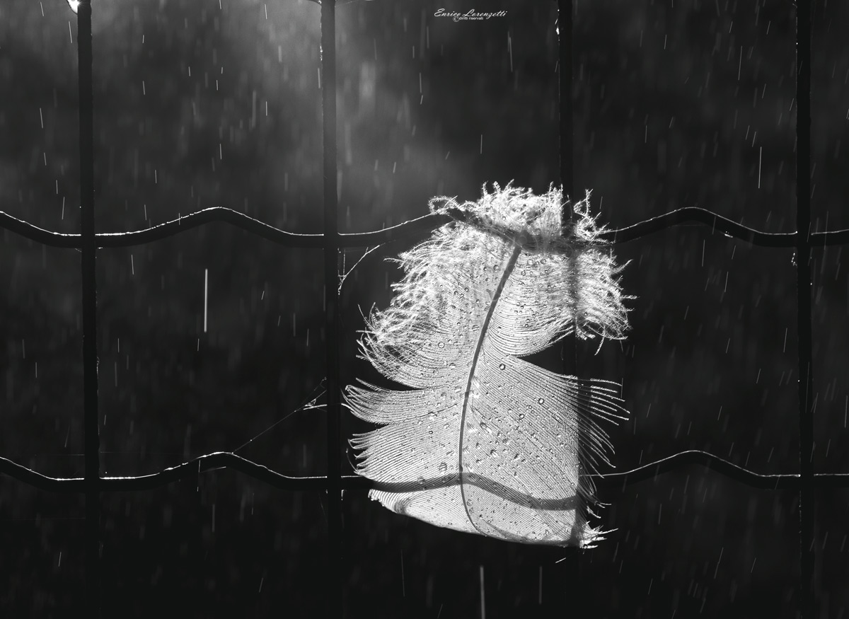 piccoli temporali estivi..