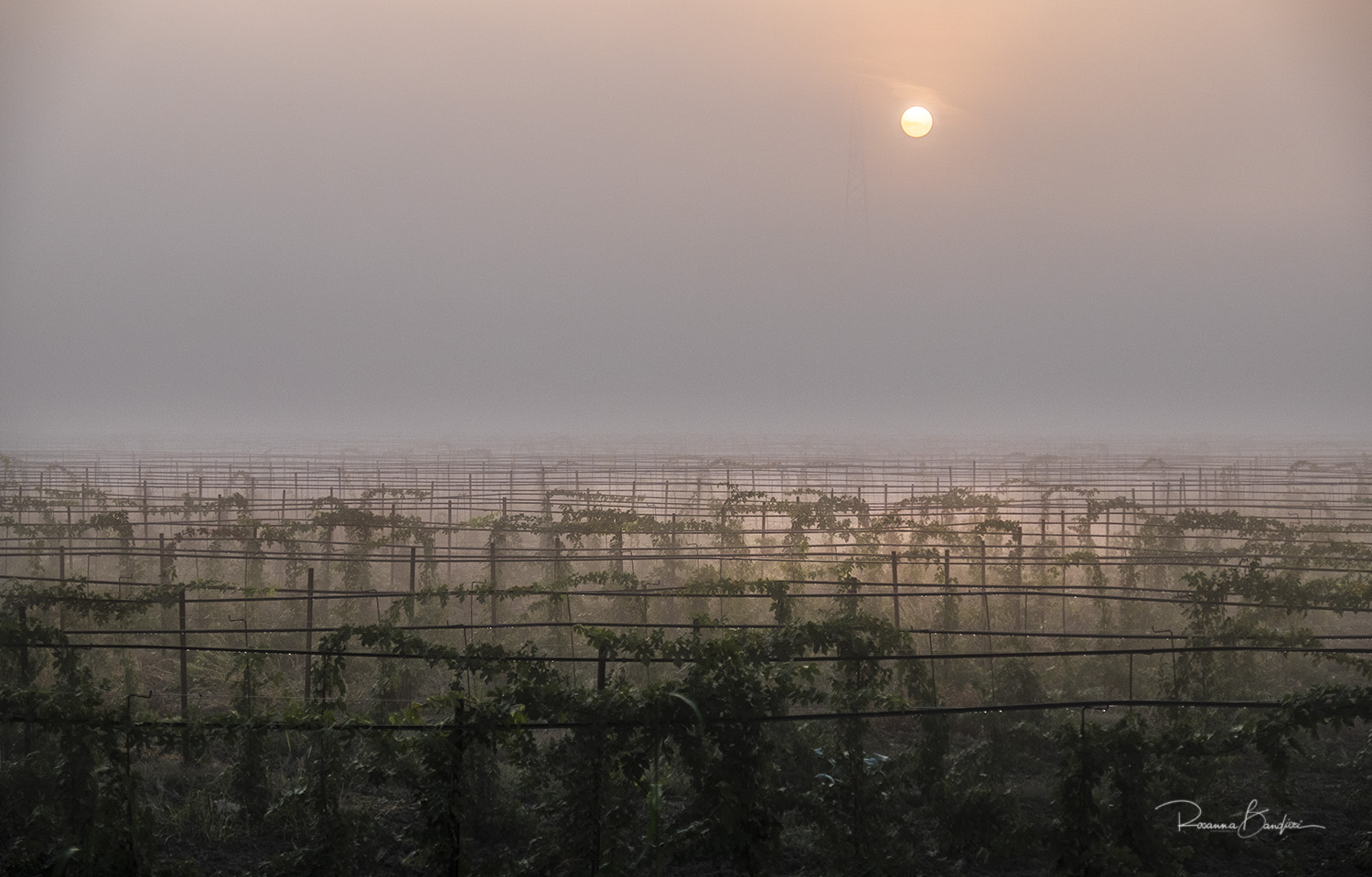 c'� un momento ...