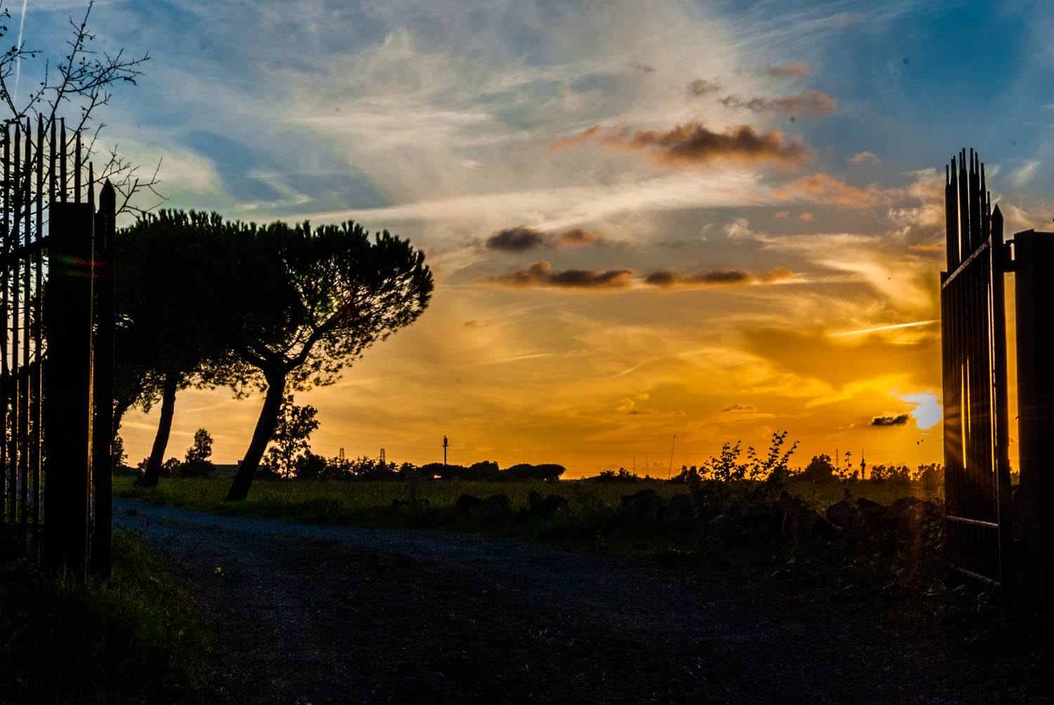 IL VIALE DEL TRAMONTO