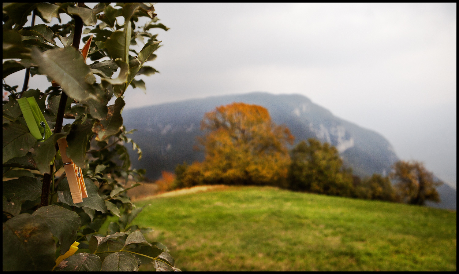 i segreti dell'autunno