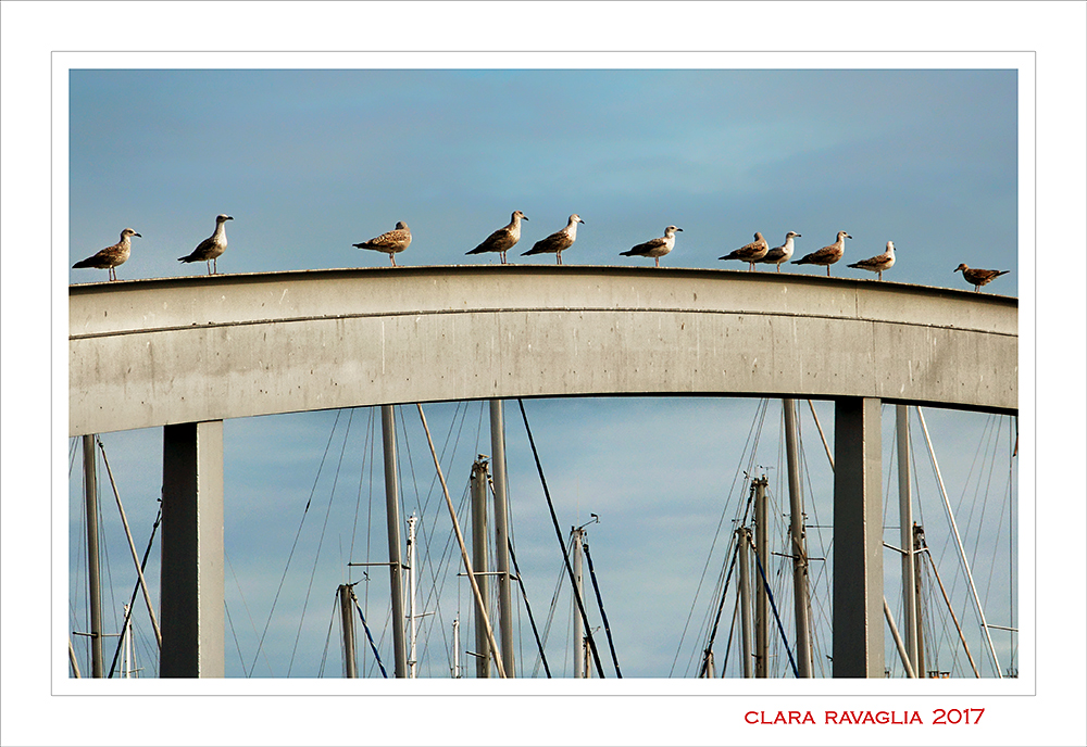 In...punta d' alberi
