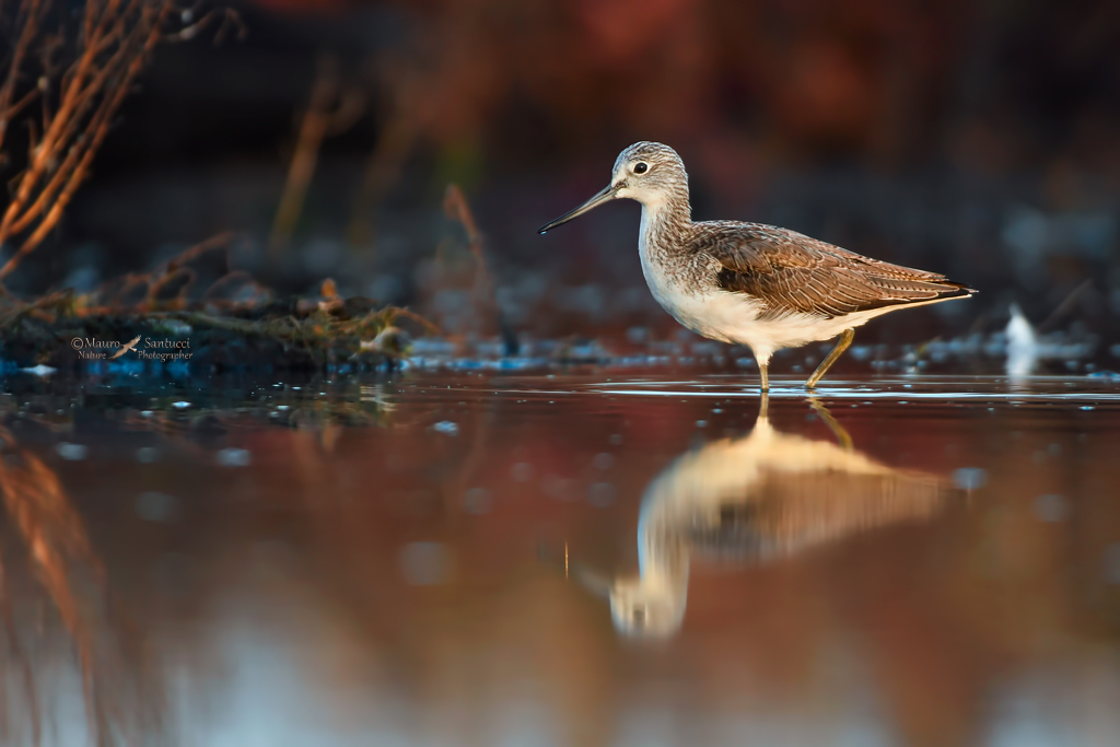 Pantana e la luce dell'alba