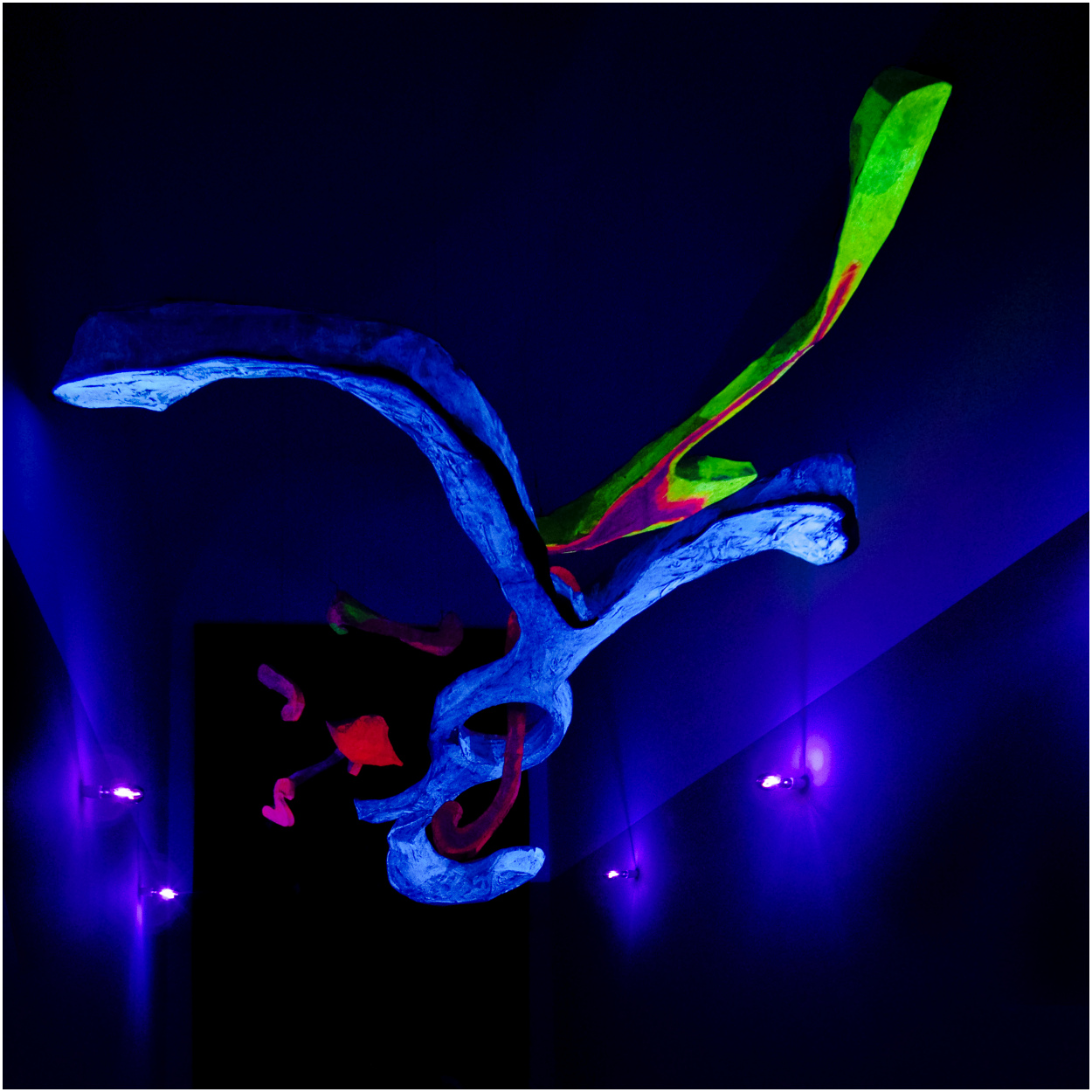 Blu Fontana