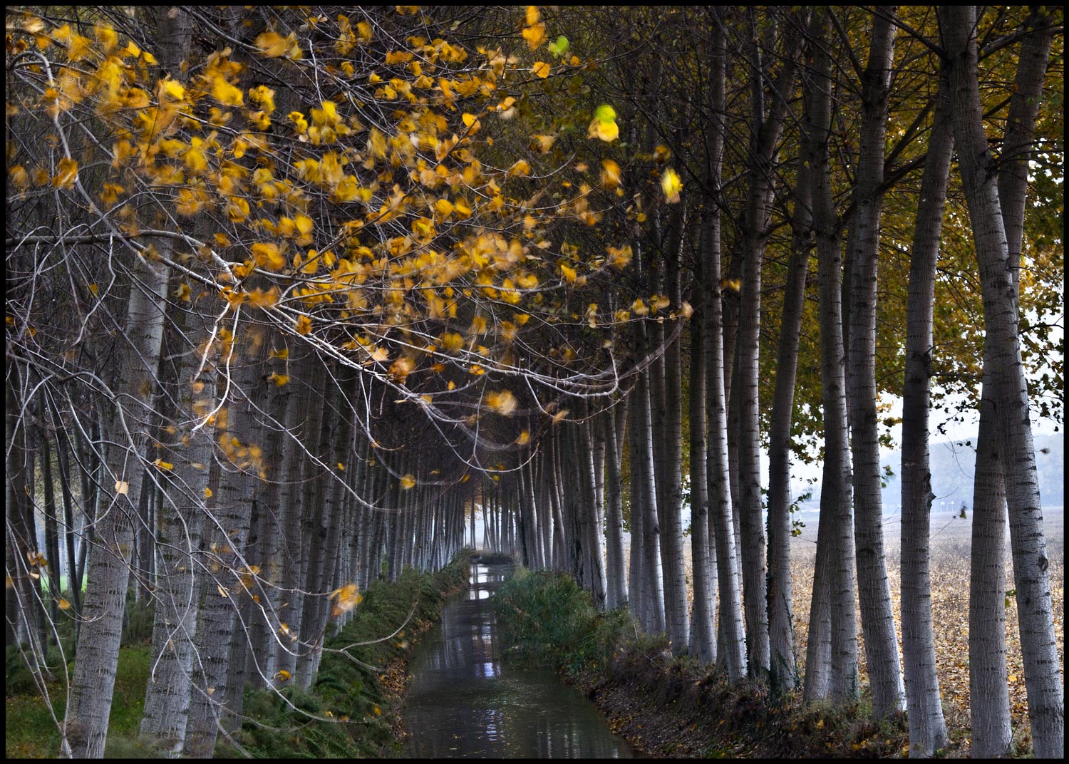 un soffio di vento...