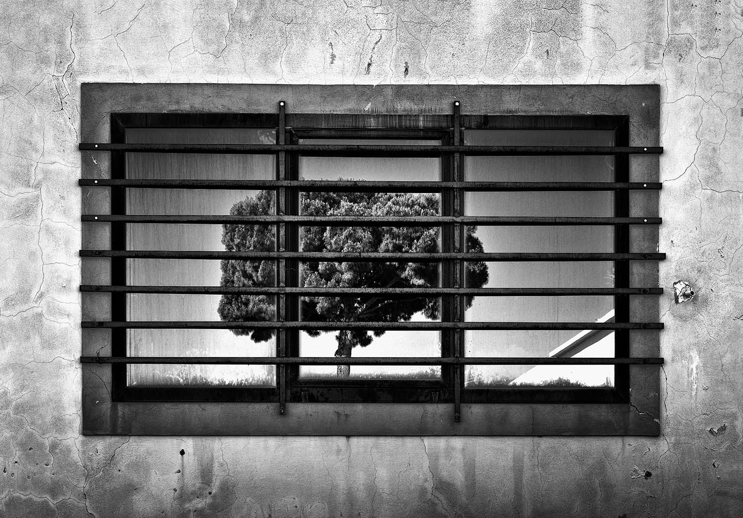 Liberatemi...sono innocente.