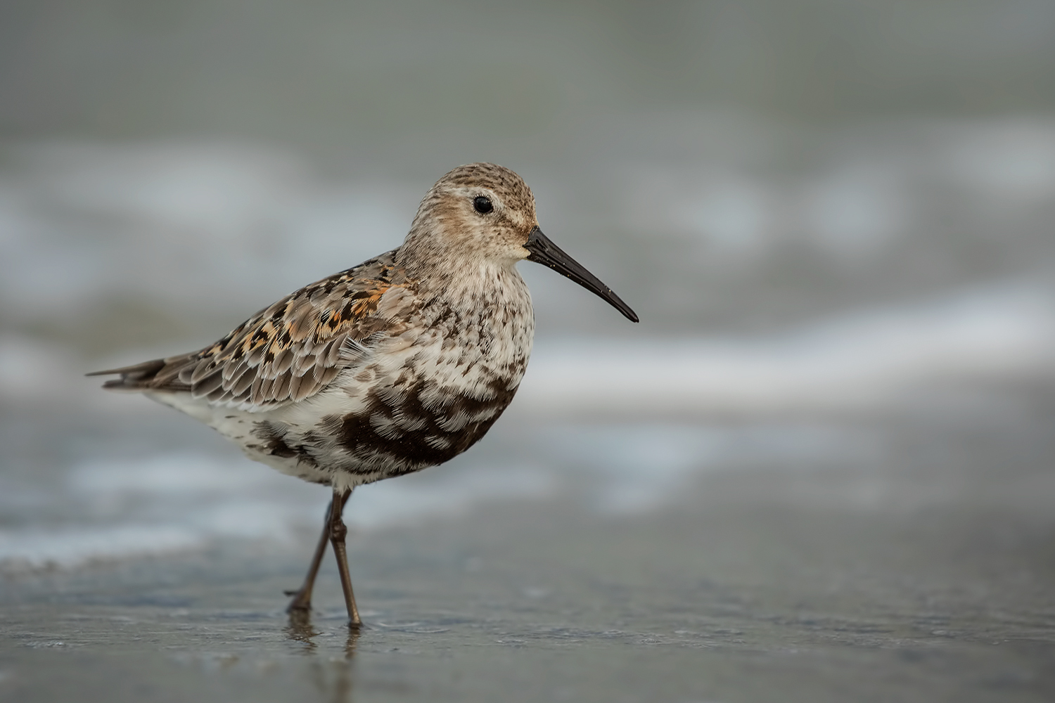 ancora tu.....ma non dovevamo vederci piu'